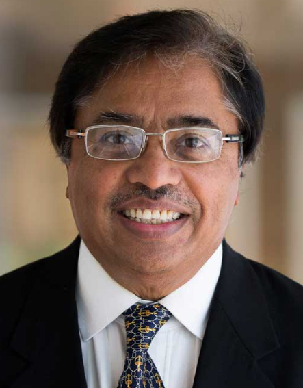 Pinaki Mazumder