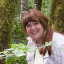 Cynthia A. Stiles