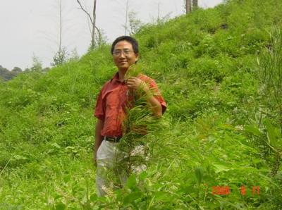 Guochang Ding
