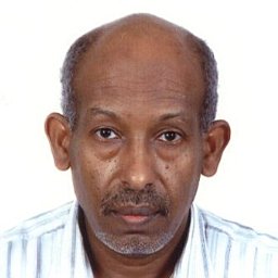 Osama H. Omer