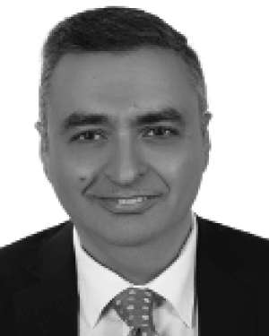 Ali A. El-Moursy