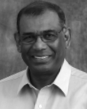 Samaranayake V A