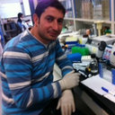 Mohamed A. A. Abdelhamid