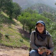 Hanyeh Ghaffari