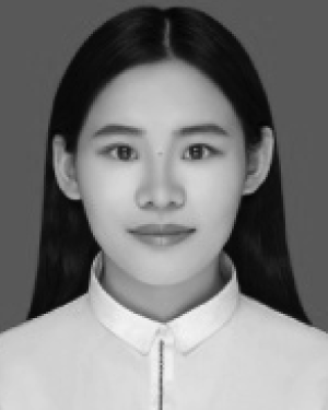 Hongjie Zhu