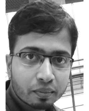 Ameer K. Mulla