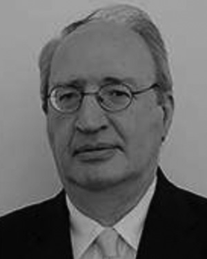 Goran D. Putnik