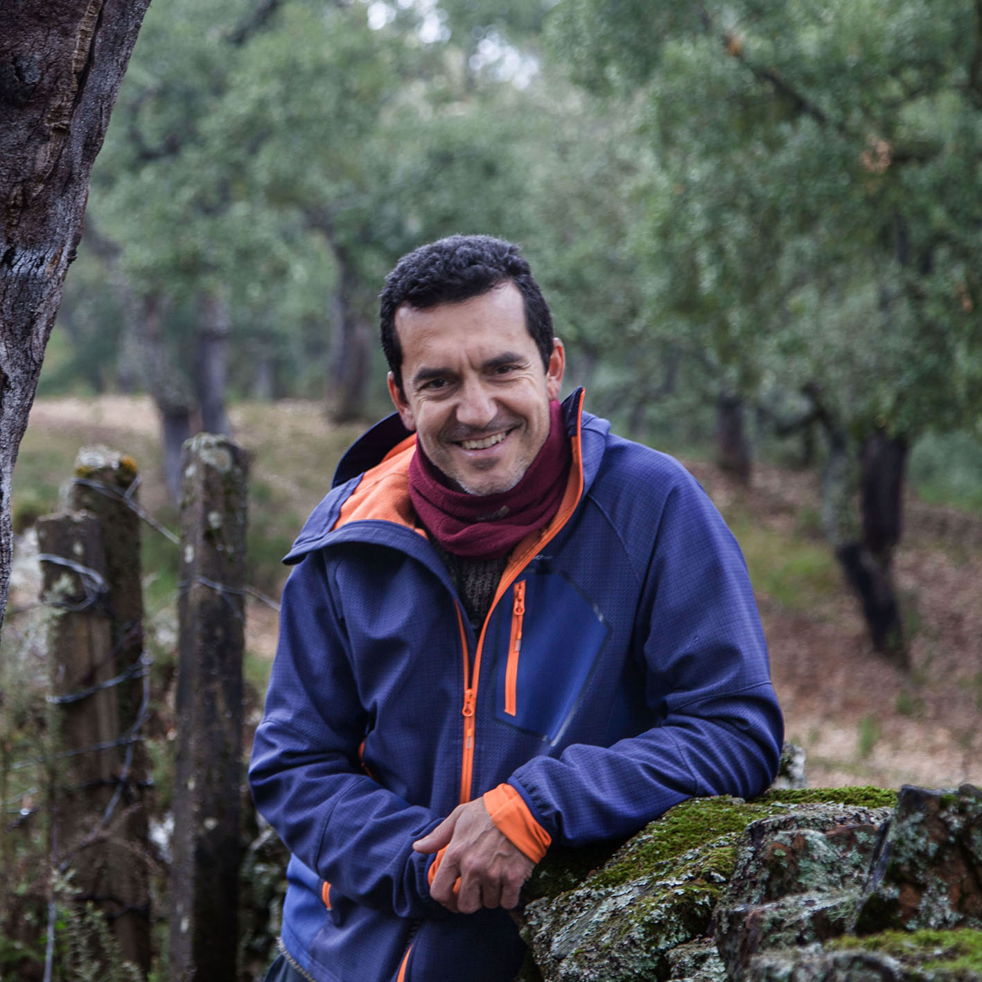 Francisco Juan Palomares Fernandez (Francisco Palomares Fernandez)