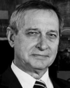 V. A. Kurnaev