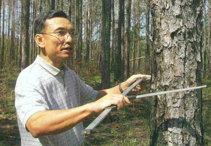 Quang V. Cao
