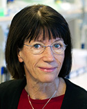 Irma Thesleff