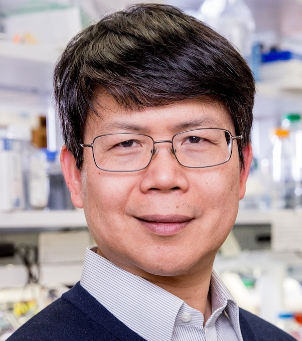Zhijian Chen