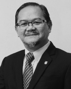 Mohd Nasir Taib