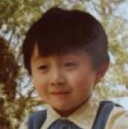 Xin Niu