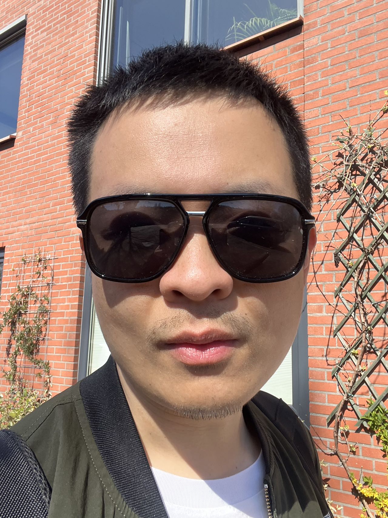 Qi Bi