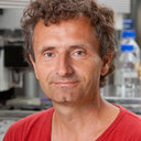 Bernhard Wimmer
