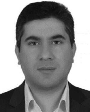 Ahmet E. Topcu