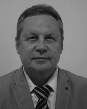 Stanislav A. Moshkalev