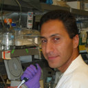 Menashe Elazar
