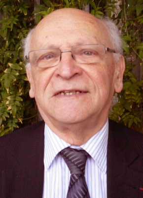 Michel E. Goldberg
