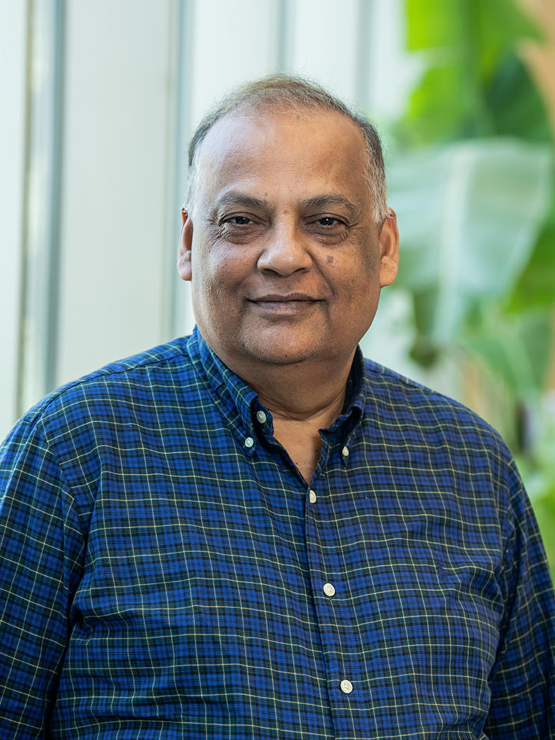 Shivendra V Sahi