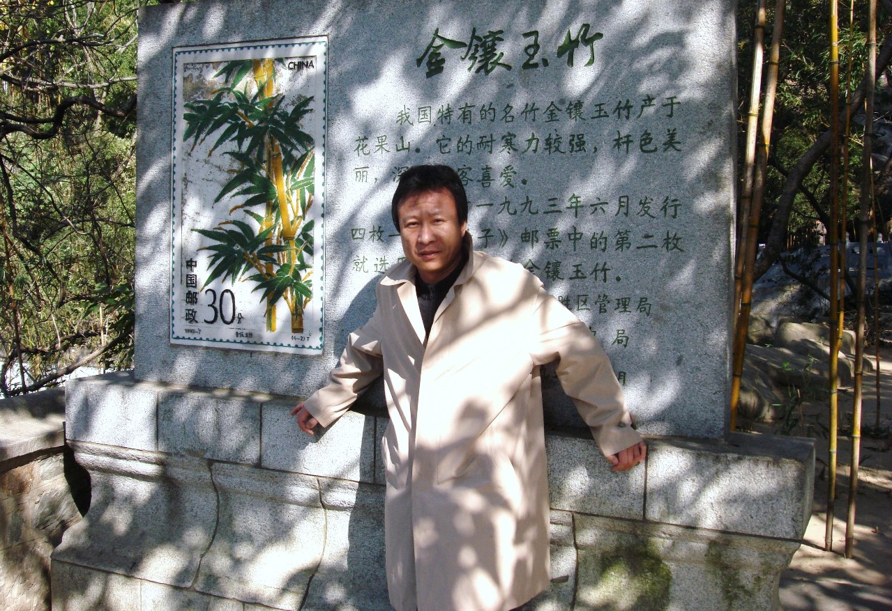 Qiang Zhang