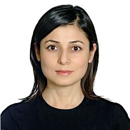 M. Ocak