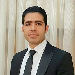 Hadi Karimi Mobin