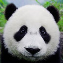 Tao Teng
