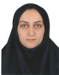Nooshin Zandi-Sohani