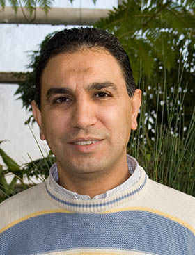 Tarek Hewezi
