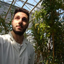 Stefano Negri