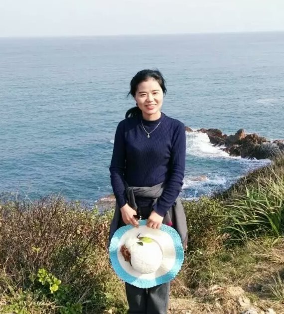 Qinglan Li