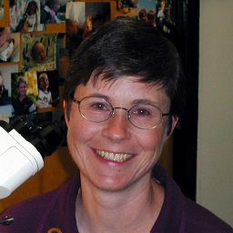 Julie H. Sandell