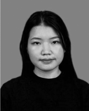 Lang Liu