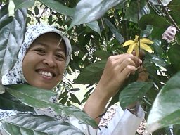 Dewi Ayu Lestari