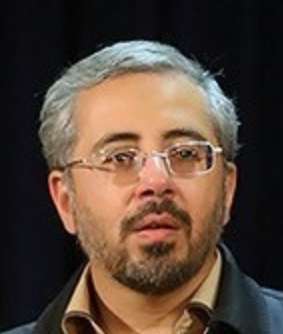 Kamran B Lankarani