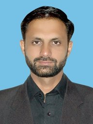 Raza Zulfiqar Ali