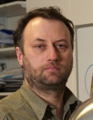 K. V. Tokmakov