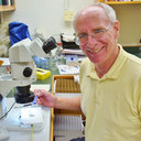 Richard Fenn Lyman