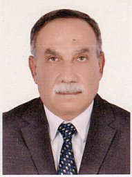 Ahmed S. Abdoon