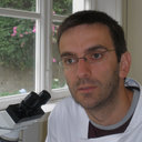 Ricardo Marcos