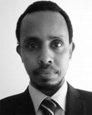 Ahmed Sh H Hussein
