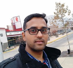 Dhaneshwar Kumar