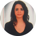 Didem Erdem Gursoy