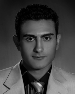 Nikoozadeh Amin