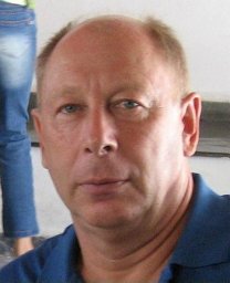 Dmitri M Gitman