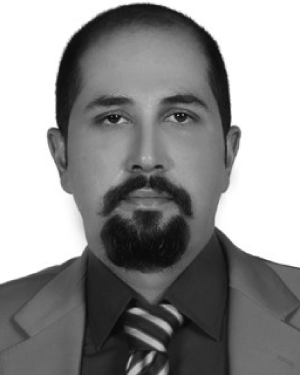 Mirpouya Mirmozaffari
