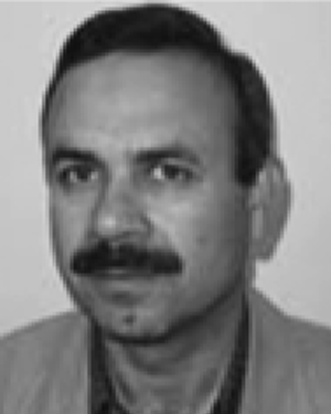 Mohammad Hossein Javidi