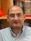 Akmal S. Abdelfatah